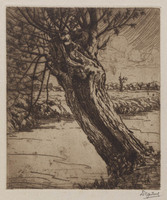 TvB G 1142
<br/>
Wilg aan water
<br/>
<em>Harting, Dirk Herman Michael (1884-1970)</em>